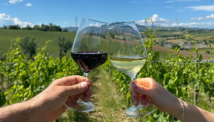 San Valentino Azienda Agricola Bio