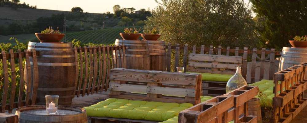 San Valentino Azienda Agricola Bio — foto 2